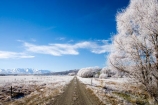agricultural;agriculture;beautiful;calm;calmness;Central-Otago;Central-Otago-Rail-Trail;clean;clear;cold;Coldness;Color;Colour;country;countryside;Daytime;Exterior;farm;farming;farmland;farms;field;fields;freeze;freezing;freezing-fog;frost;Frosted;frosty;Hawkdun-Range;Hawkdun-Ranges;high-country;hoar-frost;hoar-frosts;Hoarfrost;hoarfrosts;ice;ice-crystals;icy;Ida-Valley;idyllic;Landscape;Landscapes;Maniototo;meadow;meadows;N.Z.;natural;Nature;new-zealand;NZ;Otago;Otago-Central-Rail-Trail;Oturehua;Outdoor;Outdoors;Outside;paddock;paddocks;pasture;pastures;peaceful;Peacefulness;phenomena;phenomenon;pure;Quiet;Quietness;rail-trail;rail-trails;rime;rime-ice;rural;S.I.;Scenic;Scenics;Season;Seasons;SI;silence;south-island;spectacular;stunning;tranquil;tranquility;tree;trees;view;water;weather;White;willow;willow-tree;willow-trees;willows;winter;Wintertime;wintery;wintry