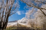 agricultural;agriculture;beautiful;calm;calmness;Central-Otago;Central-Otago-Rail-Trail;clean;clear;cold;Coldness;Color;Colour;country;countryside;Daytime;Exterior;farm;farming;farmland;farms;field;fields;freeze;freezing;freezing-fog;frost;Frosted;frosty;high-country;hoar-frost;hoar-frosts;Hoarfrost;hoarfrosts;ice;ice-crystals;icy;Ida-Valley;idyllic;Landscape;Landscapes;Maniototo;meadow;meadows;N.Z.;natural;Nature;new-zealand;NZ;Otago;Otago-Central-Rail-Trail;Oturehua;Outdoor;Outdoors;Outside;paddock;paddocks;pasture;pastures;peaceful;Peacefulness;phenomena;phenomenon;pure;Quiet;Quietness;rail-trail;rail-trails;rime;rime-ice;rural;S.I.;Scenic;Scenics;Season;Seasons;SI;silence;south-island;spectacular;stunning;tranquil;tranquility;tree;trees;view;water;weather;White;willow;willow-tree;willow-trees;willows;winter;Wintertime;wintery;wintry