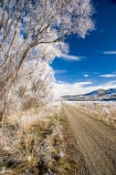 agricultural;agriculture;beautiful;calm;calmness;Central-Otago;Central-Otago-Rail-Trail;clean;clear;cold;Coldness;Color;Colour;country;countryside;Daytime;Exterior;farm;farming;farmland;farms;field;fields;freeze;freezing;freezing-fog;frost;Frosted;frosty;high-country;hoar-frost;hoar-frosts;Hoarfrost;hoarfrosts;ice;ice-crystals;icy;Ida-Valley;idyllic;Landscape;Landscapes;Maniototo;meadow;meadows;N.Z.;natural;Nature;new-zealand;NZ;Otago;Otago-Central-Rail-Trail;Oturehua;Outdoor;Outdoors;Outside;paddock;paddocks;pasture;pastures;peaceful;Peacefulness;phenomena;phenomenon;pure;Quiet;Quietness;rail-trail;rail-trails;rime;rime-ice;rural;S.I.;Scenic;Scenics;Season;Seasons;SI;silence;south-island;spectacular;stunning;tranquil;tranquility;tree;trees;view;water;weather;White;willow;willow-tree;willow-trees;willows;winter;Wintertime;wintery;wintry