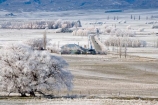 agricultural;agriculture;beautiful;calm;calmness;Central-Otago;clean;clear;cold;Coldness;Color;Colour;country;countryside;Daytime;Exterior;farm;farming;farmland;farms;field;fields;freeze;freezing;freezing-fog;frost;Frosted;frosty;high-country;hoar-frost;hoar-frosts;Hoarfrost;hoarfrosts;ice;ice-crystals;icy;Ida-Valley;idyllic;Landscape;Landscapes;Maniototo;meadow;meadows;N.Z.;natural;Nature;new-zealand;NZ;Otago;Outdoor;Outdoors;Outside;paddock;paddocks;pasture;pastures;peaceful;Peacefulness;phenomena;phenomenon;Poolburn;Poolburn-Hotel;Poolburn-Pub;poplar;poplar-tree;poplar-trees;poplars;pure;Quiet;Quietness;rime;rime-ice;rural;S.I.;Scenic;Scenics;Season;Seasons;SI;silence;south-island;spectacular;stunning;tranquil;tranquility;tree;trees;view;water;weather;White;willow;willow-tree;willow-trees;willows;wind-break;wind-breaks;wind_break;wind_breaks;windbreak;windbreaks;winter;Wintertime;wintery;wintry