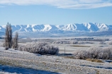 agricultural;agriculture;beautiful;calm;calmness;Central-Otago;clean;clear;cold;Coldness;Color;Colour;country;countryside;Daytime;Exterior;farm;farming;farmland;farms;field;fields;freeze;freezing;freezing-fog;frost;Frosted;frosty;Hawkdun-Range;Hawkdun-Ranges;high-country;hoar-frost;hoar-frosts;Hoarfrost;hoarfrosts;ice;ice-crystals;icy;Ida-Valley;idyllic;Landscape;Landscapes;Maniototo;meadow;meadows;N.Z.;natural;Nature;new-zealand;NZ;Otago;Outdoor;Outdoors;Outside;paddock;paddocks;pasture;pastures;peaceful;Peacefulness;phenomena;phenomenon;Poolburn;poplar;poplar-tree;poplar-trees;poplars;pure;Quiet;Quietness;rime;rime-ice;rural;S.I.;Scenic;Scenics;Season;Seasons;SI;silence;south-island;spectacular;stunning;tranquil;tranquility;tree;trees;view;water;weather;White;willow;willow-tree;willow-trees;willows;winter;Wintertime;wintery;wintry