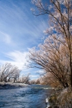 beautiful;calm;calmness;Central-Otago;clean;clear;cold;Coldness;Color;Colour;Daytime;Exterior;freeze;freezing;freezing-fog;frost;Frosted;frosty;high-country;hoar-frost;hoar-frosts;Hoarfrost;hoarfrosts;ice;ice-crystals;icy;idyllic;Landscape;Landscapes;Maniototo;Manuherikia-River;N.Z.;natural;Nature;new-zealand;NZ;Ophir;Otago;Outdoor;Outdoors;Outside;peaceful;Peacefulness;phenomena;phenomenon;pure;Quiet;Quietness;rime;rime-ice;river;rivers;S.I.;Scenic;Scenics;Season;Seasons;SI;silence;south-island;spectacular;stunning;tranquil;tranquility;tree;trees;view;water;weather;White;willow;willow-tree;willow-trees;willows;winter;Wintertime;wintery;wintry
