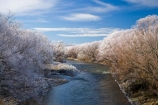 beautiful;calm;calmness;Central-Otago;clean;clear;cold;Coldness;Color;Colour;Daytime;Exterior;freeze;freezing;freezing-fog;frost;Frosted;frosty;high-country;hoar-frost;hoar-frosts;Hoarfrost;hoarfrosts;ice;ice-crystals;icy;idyllic;Landscape;Landscapes;Maniototo;Manuherikia-River;N.Z.;natural;Nature;new-zealand;NZ;Ophir;Otago;Outdoor;Outdoors;Outside;peaceful;Peacefulness;phenomena;phenomenon;pure;Quiet;Quietness;rime;rime-ice;river;rivers;S.I.;Scenic;Scenics;Season;Seasons;SI;silence;south-island;spectacular;stunning;tranquil;tranquility;tree;trees;view;water;weather;White;willow;willow-tree;willow-trees;willows;winter;Wintertime;wintery;wintry