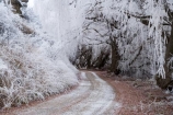 Alexandra;beautiful;Butchers-Dam;calm;calmness;Central-Otago;clean;clear;cold;Coldness;Color;Colour;countryside;Daytime;dusty;Exterior;freeze;freezing;freezing-fog;frost;Frosted;frosty;gravel-road;gravel-roads;high-country;hoar-frost;hoar-frosts;Hoarfrost;hoarfrosts;ice;ice-crystals;icy;icy-road;icy-roads;idyllic;Landscape;Landscapes;metal-road;metal-roads;metalled-road;metalled-roads;N.Z.;natural;Nature;new-zealand;NZ;Otago;Outdoor;Outdoors;Outside;peaceful;Peacefulness;phenomena;phenomenon;pure;Quiet;Quietness;rime;rime-ice;road;roads;rural;S.I.;Scenic;Scenics;Season;Seasons;SI;silence;slippery-road;slippery-roads;south-island;spectacular;stunning;tranquil;tranquility;tree;trees;view;water;weather;weeping-willow;weeping-willows;White;willow;willow-tree;willow-trees;willows;winter;winter-driving;winter-driving-conditions;winter-road;winter-roads;Wintertime;wintery;wintry