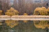 Alexandra;beautiful;Butchers-Dam;calm;calmness;Central-Otago;clean;clear;cold;Coldness;Color;Colour;dam;dams;Daytime;Exterior;lake;lakes;Landscape;Landscapes;N.Z.;natural;Nature;new-zealand;NZ;Otago;Outdoor;Outdoors;Outside;peaceful;Peacefulness;placid;pond;ponds;poplar;poplar-tree;poplar-trees;poplars;pure;Quiet;Quietness;reflection;Reflections;reservoir;reservoirs;S.I.;Scenic;Scenics;Season;Seasons;serene;SI;silence;smooth;South-Island;spectacular;still;stunning;tranquil;tranquility;tree;trees;view;water;weeping-willow;weeping-willows;White;willow;willow-tree;willow-trees;willows;winter;Winter-Colours;Wintertime;wintery;wintry