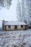 abandon;abandoned;Alexandra;beautiful;building;buildings;calm;calmness;castaway;Central-Otago;character;clean;clear;cold;Coldness;Color;Colour;cottage;cottages;Daytime;derelict;dereliction;deserted;desolate;desolation;destruction;Exterior;freeze;freezing;freezing-fog;frost;Frosted;frosty;Fruitlands;heritage;high-country;historic;historic-building;historic-buildings;historical;historical-building;historical-buildings;history;hoar-frost;hoar-frosts;Hoarfrost;hoarfrosts;ice;ice-crystals;icy;idyllic;Landscape;Landscapes;N.Z.;natural;Nature;neglect;neglected;new-zealand;NZ;old;old-fashioned;Old-Sod-Cottage;old_fashioned;Otago;Outdoor;Outdoors;Outside;peaceful;Peacefulness;phenomena;phenomenon;poplar;poplar-tree;poplar-trees;poplars;pure;Quiet;Quietness;rime;rime-ice;ruin;ruins;run-down;rustic;S.I.;Scenic;Scenics;Season;Seasons;SI;silence;south-island;spectacular;stunning;tradition;traditional;tranquil;tranquility;tree;trees;view;vintage;water;weather;White;winter;Wintertime;wintery;wintry