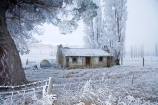 abandon;abandoned;Alexandra;beautiful;building;buildings;calm;calmness;castaway;Central-Otago;character;clean;clear;cold;Coldness;Color;Colour;cottage;cottages;Daytime;derelict;dereliction;deserted;desolate;desolation;destruction;Exterior;freeze;freezing;freezing-fog;frost;Frosted;frosty;Fruitlands;heritage;high-country;historic;historic-building;historic-buildings;historical;historical-building;historical-buildings;history;hoar-frost;hoar-frosts;Hoarfrost;hoarfrosts;ice;ice-crystals;icy;idyllic;Landscape;Landscapes;N.Z.;natural;Nature;neglect;neglected;new-zealand;NZ;old;old-fashioned;Old-Sod-Cottage;old_fashioned;Otago;Outdoor;Outdoors;Outside;peaceful;Peacefulness;phenomena;phenomenon;poplar;poplar-tree;poplar-trees;poplars;pure;Quiet;Quietness;rime;rime-ice;ruin;ruins;run-down;rustic;S.I.;Scenic;Scenics;Season;Seasons;SI;silence;south-island;spectacular;stunning;tradition;traditional;tranquil;tranquility;tree;trees;view;vintage;water;weather;White;winter;Wintertime;wintery;wintry