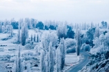 agricultural;agriculture;Alexandra;beautiful;calm;calmness;Central-Otago;clean;clear;cold;Coldness;Color;Colour;country;countryside;Daytime;Exterior;farm;farming;farmland;farms;field;fields;freeze;freezing;freezing-fog;frost;Frosted;frosty;Fruitlands;high-country;hoar-frost;hoar-frosts;Hoarfrost;hoarfrosts;ice;ice-crystals;icy;idyllic;Landscape;Landscapes;meadow;meadows;N.Z.;natural;Nature;new-zealand;NZ;Otago;Outdoor;Outdoors;Outside;paddock;paddocks;pasture;pastures;peaceful;Peacefulness;phenomena;phenomenon;poplar;poplar-tree;poplar-trees;poplars;pure;Quiet;Quietness;rime;rime-ice;rural;S.I.;Scenic;Scenics;Season;Seasons;SI;silence;south-island;spectacular;stunning;tranquil;tranquility;tree;trees;view;water;weather;White;willow;willow-tree;willow-trees;willows;winter;Wintertime;wintery;wintry