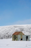 abandon;abandoned;agricultural;agriculture;beautiful;calm;calmness;castaway;Central-Otago;character;clean;clear;cold;Coldness;Color;Colour;corrugated-iron;corrugated-metal;corrugated-steel;country;countryside;Daytime;derelict;dereliction;deserted;desolate;desolation;destruction;Exterior;extreme-weather;farm;Farm-Building;Farm-Buildings;Farm-Shed;Farm-Sheds;farming;farmland;farms;field;fields;freeze;freezing;frost;Frosted;frosts;frosty;high-country;hoar-frost;hoar-frosts;Hoarfrost;hoarfrosts;ice;ice-crystals;icy;Ida-Valley;Idaburn;idyllic;Landscape;Landscapes;Maniototo;meadow;meadows;N.Z.;natural;Nature;neglect;neglected;new-zealand;NZ;old;old-shed;old-sheds;Otago;Outdoor;Outdoors;Outside;paddock;paddocks;pasture;pastures;peaceful;Peacefulness;phenomena;phenomenon;pure;Quiet;Quietness;rime;rime-ice;ruin;ruins;run-down;rural;rustic;S.I.;Scenic;Scenics;Season;Seasons;shed;sheds;SI;silence;South-Is.;South-Island;spectacular;stunning;tranquil;tranquility;view;vintage;water;weather;White;willow-tree;willow-trees;willows;winter;Wintertime;wintery;wintry