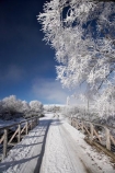 beautiful;bridge;bridges;calm;calmness;Central-Otago;clean;clear;cold;Coldness;Color;Colour;countryside;Daytime;Exterior;extreme-weather;freeze;freezing;frost;Frosted;frosts;frosty;gravel-road;gravel-roads;high-country;hoar-frost;hoar-frosts;Hoarfrost;hoarfrosts;ice;ice-crystals;icy;Ida-Valey;Idaburn;idyllic;Landscape;Landscapes;Maniototo;N.Z.;natural;Nature;new-zealand;NZ;Otago;Outdoor;Outdoors;Outside;peaceful;Peacefulness;phenomena;phenomenon;pure;Quiet;Quietness;rime;rime-ice;road;roads;rural;S.I.;Scenic;Scenics;Season;Seasons;SI;silence;snow;South-Is.;South-Island;spectacular;stunning;track;tracks;tranquil;tranquility;view;water;weather;white;willow-tree;willow-trees;willows;winter;Wintertime;wintery;wintry