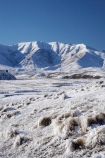 agricultural;agriculture;beautiful;calm;calmness;Central-Otago;clean;clear;cold;Coldness;Color;Colour;country;countryside;Daytime;Exterior;extreme-weather;farm;farming;farmland;farms;field;fields;freeze;freezing;frost;Frosted;frosts;frosty;high-country;hoar-frost;hoar-frosts;Hoarfrost;hoarfrosts;ice;ice-crystals;icy;Ida-Burn;Ida-Range;idyllic;Landscape;Landscapes;Little-Mount-Ida;Little-Mt-Ida;Little-Mt.-Ida;Maniototo;meadow;meadows;Mount-Ida;Mt-Ida;Mt.-Ida;N.Z.;natural;Nature;new-zealand;NZ;Otago;Outdoor;Outdoors;Outside;paddock;paddocks;pasture;pastures;peaceful;Peacefulness;phenomena;phenomenon;pure;Quiet;Quietness;rime;rime-ice;rural;S.I.;Scenic;Scenics;Season;Seasons;SI;silence;South-Is.;South-Island;spectacular;stunning;tranquil;tranquility;view;water;weather;White;winter;Wintertime;wintery;wintry