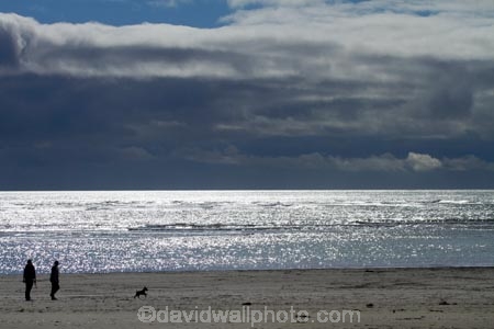 Aotearoa;beach;beaches;Canterbury;Christchurch;coast;coastal;coastline;dog;dogs;N.Z.;New-Zealand;NZ;ocean;oceans;sand;sandy;sea;seas;shore;shoreline;South-Is;South-Island;Sth-Is;Sumner;Sumner-Beach;sunlight