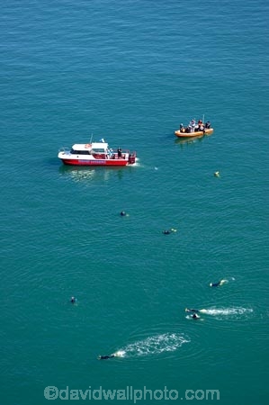 adventure-tourism;aerial;aerial-photo;aerial-photography;aerial-photos;aerial-view;aerial-views;aerials;Akaroa-Harbour;Banks-Peninsula;boat;boats;Canterbury;Cephalorhynchus-hectori;coast;coastal;coastline;coastlines;coasts;cruise;cruises;dolphin;Dolphin-Experience;dolphins;eco-tourism;eco_tourism;ecotourism;harbor;harbors;harbour;harbours;Hectors-Dolphin;Hectors-Dolphins;launch;launches;N.Z.;New-Zealand;NZ;ocean;oceans;S.I.;sea;shore;shoreline;shorelines;shores;SI;South-Island;swimmer;swimmers;swimming;tour-boat;tour-boats;tourism;tourist;tourist-boat;tourist-boats;water