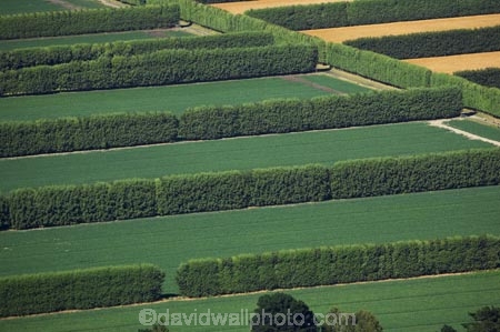 aerial;aerial-photo;aerial-photography;aerial-photos;aerial-view;aerial-views;aerials;agricultural;agriculture;canterbury;Christchurch;country;countryside;crop;Crops;farm;farming;farmland;farms;field;fields;hedge;hedgerow;hedgerows;hedges;horticulture;meadow;meadows;n.z.;new-zealand;nz;paddock;paddocks;pasture;pastures;rural;S.I.;shelter-belt;shelter-belts;shelter_belt;shelter_belts;shelterbelt;shelterbelts;SI;South-Island;wind-break;wind-breaks;wind_break;wind_breaks;windbreak;windbreaks