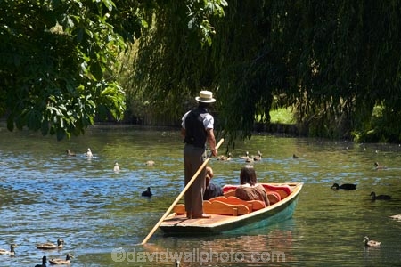 Avon;Avon-River;Avon-River-Avon;boat;boating;boats;Canterbury;Christchurch;Hagley-Park;N.Z.;New-Zealand;NZ;people;person;poler;polers;polling;punt;punter;punters;punting;Punting-on-the-Avon;punts;river;River-Avon;river-rivers;rivers;S.I.;SI;South-Is;South-Island;tourism;tourist;tourists