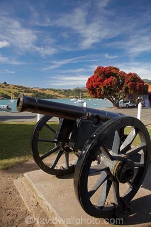 Akaroa;Banks-Peninsula;canon;canons;Canterbury;flower;flowers;gun;guns;heritage;historic;historic-place;historic-places;historic-site;historic-sites;historical;historical-place;historical-places;historical-site;historical-sites;history;metrosideros-excelsa;N.Z.;native;native-plant;native-plants;New-Zealand;NZ;old;plant;plants;pohutakawa;pohutakawas;pohutukawa;pohutukawa-flower;pohutukawa-flowers;pohutukawa-tree;pohutukawa-trees;pohutukawas;S.I.;South-Is;South-Island;summer;tradition;traditional;tree;trees
