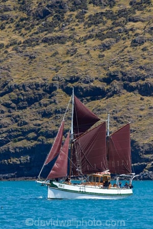 Akaroa;Akaroa-Harbor;Akaroa-Harbour;Banks-Peninsula;bluff;bluffs;Canterbury;cliff;cliffs;Fox-2;Fox-II;gaffed-rigged-ketch;heritage;historic;historic-place;historic-places;historic-site;historic-sites;historical;historical-place;historical-places;historical-site;historical-sites;history;ketch;ketches;N.Z.;New-Zealand;NZ;old;S.I.;sail-boat;sial-boats;South-Is;South-Island;tradition;traditional;yacht;yachts
