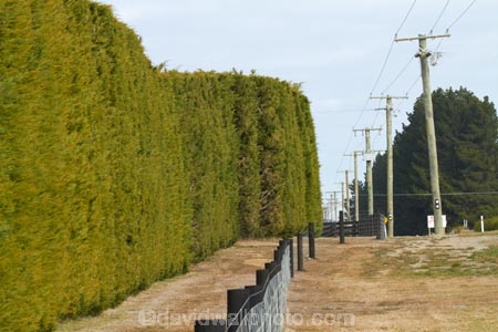 4-metres;4th-September-2010;Canterbury;crooked;Darfield;earhtrquake;earthquakes;fault-line;fault-lines;fault_line;fault_lines;faultline;faultlines;fence;fenceline;fencelines;fences;hedge;hedges;N.Z.;New-Zealand;NZ;S.I.;SI;South-Is.;South-Island;windbreak;windbreaks