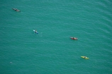adventure;adventure-tourism;aerial;aerial-photo;aerial-photography;aerial-photos;aerial-view;aerial-views;aerials;Akaroa-Harbour;Banks-Peninsula;boat;boats;canoe;canoeing;canoes;Canterbury;Cephalorhynchus-hectori;coast;coastal;coastline;coastlines;coasts;harbor;harbors;harbour;harbours;Hectors-Dolphin;Hectors-Dolphins;kayak;kayaker;kayakers;kayaking;kayaks;N.Z.;New-Zealand;NZ;ocean;oceans;paddle;paddler;paddlers;paddling;S.I.;sea;sea-kayak;sea-kayaker;sea-kayakers;sea-kayaking;sea-kayaks;shore;shoreline;shorelines;shores;SI;South-Island;water