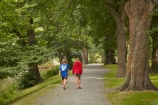 Canterbury;children;Christchurch;foot-path;foot-paths;footpath;footpaths;forest;forests;Hagley-Park;Hagley-Park-North;N.Z.;New-Zealand;North-Hagley-Park;NZ;people;person;S.I.;SI;South-Is;South-Island;track;tracks;tree;trees;walker;walkers;walking;walking-path;walking-track