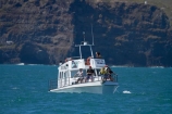 Akaroa;Akaroa-Harbor;Akaroa-Harbour;Banks-Peninsula;bluff;bluffs;boat;boats;Canterbury;cliff;cliffs;cruise;cruises;launch;launches;N.Z.;New-Zealand;NZ;S.I.;South-Is;South-Island;tour-boat;tour-boats;tourism;tourist;tourist-boat;tourist-boats;water