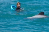 Akaroa-Harbor;Akaroa-Harbour;Canterbury;Cephalorhynchus;Cephalorhynchus-hectori;cetacean;cetaceans;dolphin;dolphins;Hectors-dolphin;Hectors-dolphin;mammal;mammals;marine-mammal;marine-mammals;N.Z.;New-Zealand;NZ;people;person;S.I.;SI;South-Is;South-Island;swim;swimming;swimming-with-dolphins;swimming-with-the-dolphins;tourism;tourist;tourists;wildlife