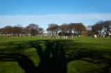 Canterbury;Christchurch;football;grass;Intermediate-football-tournament;N.Z.;New-Zealand;NZ;park;parks;S.I.;shadow;shadows;SI;South-Is.;South-Island;sports;sports-field;sports-fields;sports-ground;sports-grounds
