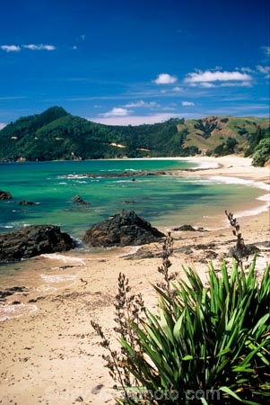 bay;bays;beach;beaches;coast;coastline;coromandel-peninsula;east-coast;flax;kuaotunu;n.i.;n.z.;new-zealand;ni;north;north-is.;north-island;nz;ocean;oceans;pacific;sand;sea;surf;water;waterfront;wave-images