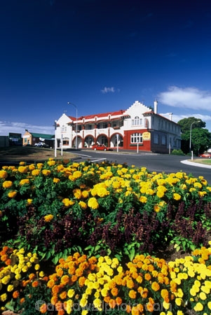 color;colorful;colour;colourful;flower;flowers;garden;gardens;hotel;orange;pub;yellow