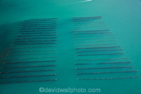 4019;aerial;aerial-photo;aerial-photograph;aerial-photographs;aerial-photography;aerial-photos;aerial-view;aerial-views;aerials;aqua-culture;aqua-farm;aqua-farming;aqua-farms;aqua_culture;aqua_farm;aqua_farming;aqua_farms;aquaculture;aquafarm;aquafarming;aquafarms;bay;bays;coast;coastal;coastline;coastlines;coasts;coromandel;coromandel-peninsula;foreshore;Harataunga;inlet;inlets;island;Kennedy-Bay;Kennedys-Bay;marine-farm;marine-farming;marine-farms;N.I.;N.Z.;new;New-Zealand;NI;north;North-Is;north-is.;North-Island;NZ;ocean;peninsula;sea;shore;shoreline;shorelines;shores;Waikato;water;zealand