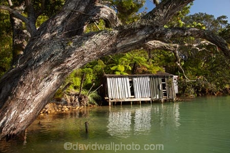 boat-house;boat-houses;boat-shed;boat-sheds;boat_house;boat_houses;boat_shed;boat_sheds;boathouse;boathouses;boatshed;boatsheds;coast;coastal;coastline;coastlines;coasts;Coromandel;Coromandel-Peninsula;flower;flowers;foreshore;metrosideros-excelsa;N.I.;N.Z.;New-Zealand;NI;North-Is;North-Is.;North-Island;NZ;Oamaru-Bay;ocean;Old-Boat-Shed;plant;plants;pohutakawa;pohutakawas;pohutukawa;pohutukawa-flower;pohutukawa-flowers;pohutukawa-tree;pohutukawa-trees;pohutukawas;sea;shore;shoreline;shorelines;shores;tree;trees;Waikato;water