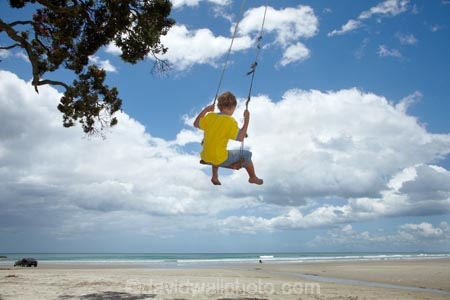 7-year-old;7-years-old;8-year-old;8-years-old;beach;beaches;boy;boys;child;children;coast;coastal;Coromandel;Coromandel-Peninsula;eight-year-old;eight-years-old;fun;happy;joy;kid;kids;kiwi-icon;kiwi-icons;kiwiana;little-boy;little-boys;N.I.;N.Z.;New-Zealand;NI;North-Is;North-Is.;North-Island;NZ;outdoor;outside;people;person;play;playing;Pohutukawa-Tree;Pohutukawa-Trees;rope-swing;rope-swings;seven-year-old;seven-years-old;shore;summer;swing;swinging;swings;Waihi-Beach;Waikato;young-boy;young-boys