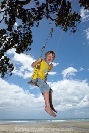 7-year-old;7-years-old;8-year-old;8-years-old;beach;beaches;boy;boys;child;children;coast;coastal;Coromandel;Coromandel-Peninsula;eight-year-old;eight-years-old;fun;happy;joy;kid;kids;kiwi-icon;kiwi-icons;kiwiana;little-boy;little-boys;N.I.;N.Z.;New-Zealand;NI;North-Is;North-Is.;North-Island;NZ;outdoor;outside;people;person;play;playing;Pohutukawa-Tree;Pohutukawa-Trees;rope-swing;rope-swings;seven-year-old;seven-years-old;shore;summer;swing;swinging;swings;Waihi-Beach;Waikato;young-boy;young-boys