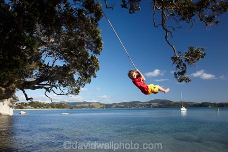 7-year-old;7-years-old;8-year-old;8-years-old;boy;boys;child;children;coast;coastal;Coromandel;Coromandel-Peninsula;eight-year-old;eight-years-old;Flaxmill-Bay;fun;happy;joy;kid;kids;kiwi-icon;kiwi-icons;kiwiana;little-boy;little-boys;Maramaratotara-Bat;N.I.;N.Z.;New-Zealand;NI;North-Is;North-Is.;North-Island;NZ;outdoor;outside;people;person;play;playing;Pohutukawa-Tree;Pohutukawa-Trees;rope-swing;rope-swings;seven-year-old;seven-years-old;shore;summer;swing;swinging;swings;Waikato;young-boy;young-boys