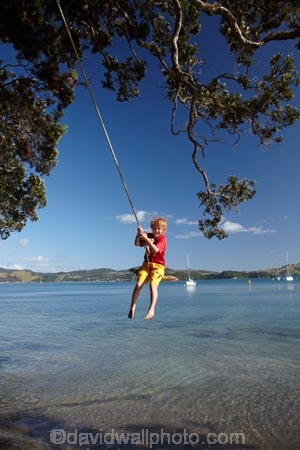 7-year-old;7-years-old;8-year-old;8-years-old;boy;boys;child;children;coast;coastal;Coromandel;Coromandel-Peninsula;eight-year-old;eight-years-old;Flaxmill-Bay;fun;happy;joy;kid;kids;kiwi-icon;kiwi-icons;kiwiana;little-boy;little-boys;Maramaratotara-Bat;N.I.;N.Z.;New-Zealand;NI;North-Is;North-Is.;North-Island;NZ;outdoor;outside;people;person;play;playing;Pohutukawa-Tree;Pohutukawa-Trees;rope-swing;rope-swings;seven-year-old;seven-years-old;shore;summer;swing;swinging;swings;Waikato;young-boy;young-boys