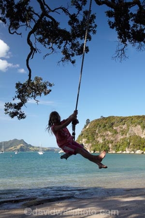 10-year-old;10-years-old;9-year-old;9-years-old;child;children;coast;coastal;Coromandel;Coromandel-Peninsula;Flaxmill-Bay;fun;girl;girls;happy;joy;kid;kids;kiwi-icon;kiwi-icons;kiwiana;little-girl;little-girls;Maramaratotara-Bat;N.I.;N.Z.;New-Zealand;NI;nine-year-old;nine-years-old;North-Is;North-Is.;North-Island;NZ;outdoor;outside;people;person;play;playing;Pohutukawa-Tree;Pohutukawa-Trees;rope-swing;rope-swings;Shakespeare-Cliff;Shakespeares-Cliff;shore;summer;swing;swinging;swings;ten-year-old;ten-years-old;Waikato;young-girl;young-girls