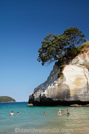 beach;beaches;Cathedral-Cove;Cathedral-Cove-recreation-reserve;coast;coastal;coastline;coastlines;coasts;Coromandel;Coromandel-Peninsula;foreshore;Hahei;marine-reserve;marine-reserves;Mercury-Bay;N.I.;N.Z.;New-Zealand;NI;North-Is;North-Is.;North-Island;NZ;ocean;oceans;sand;sandy;sea;seas;shore;shoreline;shorelines;shores;swim;swimmer;swimmers;swimming;Te-Whanganui-A-Hei-Marine-Reserve;Te-Whanganui_A_Hei-Marine-Reserve;Waikato;water