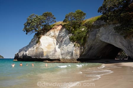 beach;beaches;Cathedral-Cove;Cathedral-Cove-recreation-reserve;cave;caves;coast;coastal;coastline;coastlines;coasts;Coromandel;Coromandel-Peninsula;foreshore;Hahei;marine-reserve;marine-reserves;Mercury-Bay;N.I.;N.Z.;New-Zealand;NI;North-Is;North-Is.;North-Island;NZ;ocean;oceans;roch-arches;rock-arch;sand;sandy;sea;sea-cave;sea-caves;seas;shore;shoreline;shorelines;shores;swim;swimmer;swimmers;swimming;Te-Whanganui-A-Hei-Marine-Reserve;Te-Whanganui_A_Hei-Marine-Reserve;Waikato;water