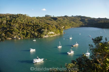 Back-Bay;boat;boats;Coromandel;Coromandel-Peninsula;cruise;cruises;fishing-boat;fishing-boats;launch;launches;mooring;N.I.;N.Z.;New-Zealand;NI;North-Is;North-Is.;North-Island;NZ;pleasure-boat;pleasure-boats;speed-boat;speed-boats;tour-boat;tour-boats;tourism;tourist;tourist-boat;tourist-boats;Waikato;water;Whitianga;Whitianga-Harbor;Whitianga-Harbour