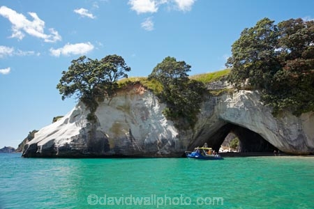 beach;beaches;bluff;bluffs;boat;boat-tour;boat-tours;boat-trip;boat-trips;boats;Cathedral-Cove;Cathedral-Cove-recreation-reserve;cave;cavern;caverns;caves;cliff;cliffs;coast;coastal;coastline;coastlines;coasts;Coromandel;Coromandel-Peninsula;cruise;cruises;foreshore;geological;geology;Glass-Bottom-Boat;Glass-Bottom-Boats;Glass-Bottomed-Boat;Glass-Bottomed-Boats;grotto;grottos;Hahei;launch;launches;littoral-cave;littoral-caves;marine-reserve;marine-reserves;Mercury-Bay;Mercury-Bay-Seafaris;N.I.;N.Z.;New-Zealand;NI;North-Is;North-Is.;North-Island;NZ;ocean;oceans;pleasure-boat;pleasure-boats;roch-arches;rock;rock-arch;rock-formation;rock-formations;rocks;sand;sandy;sea;sea-cave;sea-caves;seas;shore;shoreline;shorelines;shores;speed-boat;speed-boats;stone;Te-Whanganui-A-Hei-Marine-Reserve;Te-Whanganui_A_Hei-Marine-Reserve;tour-boat;tour-boats;tourism;tourist;tourist-boat;tourist-boats;Waikato;water