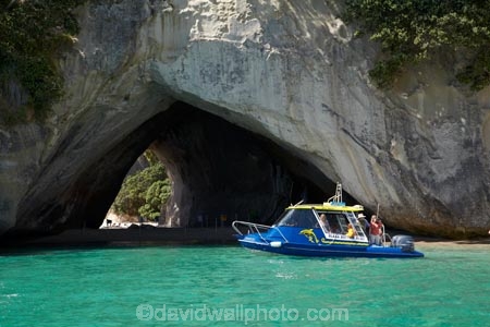 beach;beaches;bluff;bluffs;boat;boat-tour;boat-tours;boat-trip;boat-trips;boats;Cathedral-Cove;Cathedral-Cove-recreation-reserve;cave;cavern;caverns;caves;cliff;cliffs;coast;coastal;coastline;coastlines;coasts;Coromandel;Coromandel-Peninsula;cruise;cruises;foreshore;geological;geology;Glass-Bottom-Boat;Glass-Bottom-Boats;Glass-Bottomed-Boat;Glass-Bottomed-Boats;grotto;grottos;Hahei;launch;launches;littoral-cave;littoral-caves;marine-reserve;marine-reserves;Mercury-Bay;Mercury-Bay-Seafaris;N.I.;N.Z.;New-Zealand;NI;North-Is;North-Is.;North-Island;NZ;ocean;oceans;pleasure-boat;pleasure-boats;roch-arches;rock;rock-arch;rock-formation;rock-formations;rocks;sand;sandy;sea;sea-cave;sea-caves;seas;shore;shoreline;shorelines;shores;speed-boat;speed-boats;stone;Te-Whanganui-A-Hei-Marine-Reserve;Te-Whanganui_A_Hei-Marine-Reserve;tour-boat;tour-boats;tourism;tourist;tourist-boat;tourist-boats;Waikato;water