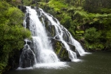 brook;calm;calmness;cascade;cascades;Coromandel;Coromandel-Peninsula;creek;creeks;falls;fern;forest;green;Karangahake-Gorge;N.I.;N.Z.;native-bush;natural;nature;New-Zealand;NI;North-Is;North-Is.;North-Island;NZ;Owharoa-Falls;Paeroa;scene;scenic;stream;streams;Waikato;water;water-fall;water-falls;waterfall;waterfalls;wet