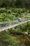 bridge;bridges;Coromandel;Coromandel-Peninsula;foot-bridge;foot-bridges;footbridge;footbridges;hike;hikes;hiking;hiking-track;hiking-tracks;Karangahake-Gorge;Karangahake-Gorge-Historic-Walkway;Karangahake-Gorge-Track;Karangahake-Gorge-Walk;Karangahake-Gorge-Walkway;N.I.;N.Z.;New-Zealand;NI;North-Is;North-Is.;North-Island;NZ;Ohinemuri-River;Paeroa;pedestrian-bridge;pedestrian-bridges;river;rivers;rope-bridge;rope-bridges;suspension-bridge;suspension-bridges;swing-bridge;swing-bridges;Swingbridge;track;tracks;tramp;tramping;tramps;Waikato;walk;walking;walking-track;walking-tracks;walks;wire-bridge;wire-bridges