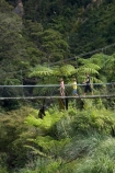 bridge;bridges;Coromandel;Coromandel-Peninsula;foot-bridge;foot-bridges;footbridge;footbridges;hike;hikes;hiking;hiking-track;hiking-tracks;Karangahake-Gorge;Karangahake-Gorge-Historic-Walkway;Karangahake-Gorge-Track;Karangahake-Gorge-Walk;Karangahake-Gorge-Walkway;N.I.;N.Z.;New-Zealand;NI;North-Is;North-Is.;North-Island;NZ;Paeroa;pedestrian-bridge;pedestrian-bridges;river;rivers;rope-bridge;rope-bridges;suspension-bridge;suspension-bridges;swing-bridge;swing-bridges;Swingbridge;track;tracks;tramp;tramping;tramps;Waikato;Waitawheta-River;walk;walking;walking-track;walking-tracks;walks;wire-bridge;wire-bridges