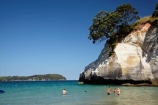 beach;beaches;Cathedral-Cove;Cathedral-Cove-recreation-reserve;coast;coastal;coastline;coastlines;coasts;Coromandel;Coromandel-Peninsula;foreshore;Hahei;marine-reserve;marine-reserves;Mercury-Bay;N.I.;N.Z.;New-Zealand;NI;North-Is;North-Is.;North-Island;NZ;ocean;oceans;sand;sandy;sea;seas;shore;shoreline;shorelines;shores;swim;swimmer;swimmers;swimming;Te-Whanganui-A-Hei-Marine-Reserve;Te-Whanganui_A_Hei-Marine-Reserve;Waikato;water