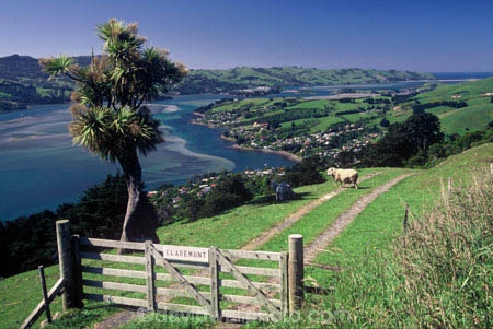gate;farm;rural;fence;gate-post;grass;harbor;agriculture;countryside;pastoral;farms;farming;farmland;lamb;pasture;hill