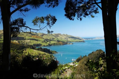 Careys-Bay;coast;coastal;coastline;coastlines;coasts;Dunedin;harbor;harbors;harbour;harbours;N.Z.;New-Zealand;NZ;ocean;oceans;Otago;Otago-Harbour;S.I.;sea;shore;shoreline;shorelines;shores;SI;South-Is.;South-Island;water
