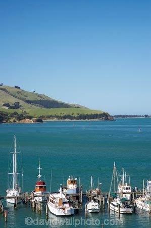 boat;boats;Careys-Bay;coast;coastal;coastline;coastlines;coasts;Dunedin;fishing-boat;fishing-boats;harbor;harbors;harbour;harbours;hull;hulls;jetties;jetty;launch;launches;marina;marinas;mast;masts;N.Z.;New-Zealand;NZ;ocean;oceans;Otago;Otago-Harbour;pier;piers;port;ports;S.I.;sail;sailing;sea;shore;shoreline;shorelines;shores;SI;South-Is.;South-Island;water;waterside;wharf;wharfes;wharves;yacht;yachts