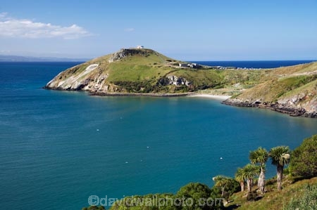 coast;coastal;coastline;coastlines;coasts;Dunedin;harbor;harbors;harbour;harbours;N.Z.;New-Zealand;NZ;ocean;oceans;Otago;Otago-Harbour;Otago-Peninsula;Pilots-Beach;S.I.;sea;shore;shoreline;shorelines;shores;SI;South-Is.;South-Island;Taiaroa-Head;Taiaroa-Head-Albatross-Colony;water
