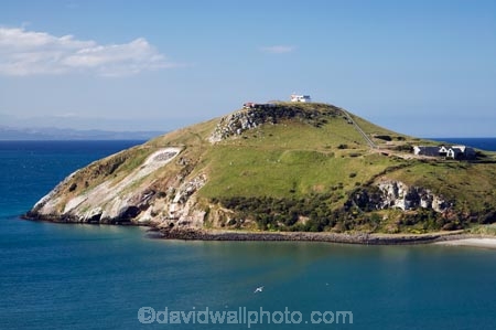 coast;coastal;coastline;coastlines;coasts;Dunedin;harbor;harbors;harbour;harbours;N.Z.;New-Zealand;NZ;ocean;oceans;Otago;Otago-Harbour;Otago-Peninsula;Pilots-Beach;S.I.;sea;shore;shoreline;shorelines;shores;SI;South-Is.;South-Island;Taiaroa-Head;Taiaroa-Head-Albatross-Colony;water